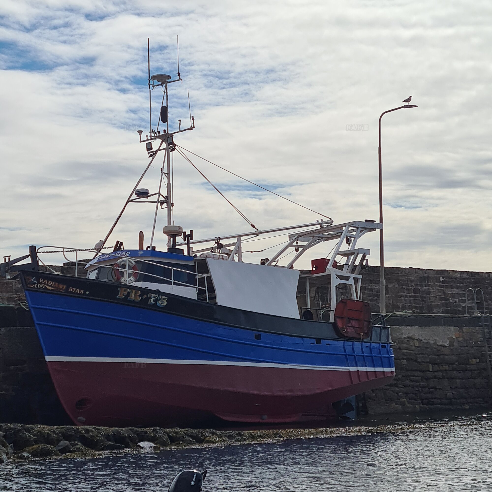 Large picture for advert 126787