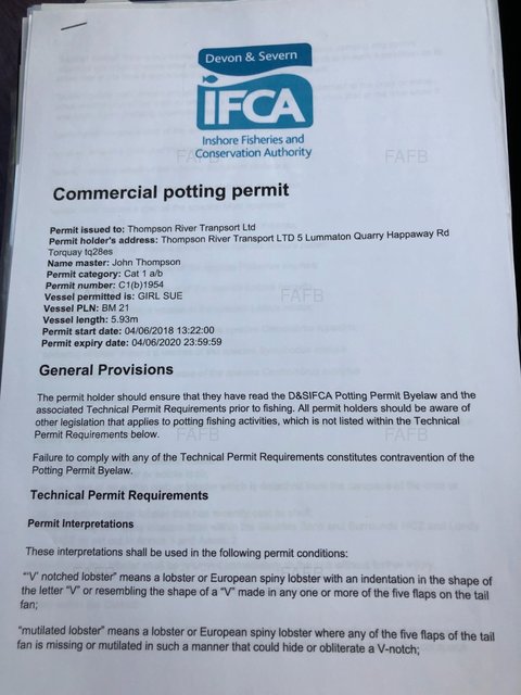 Large picture for advert 103137