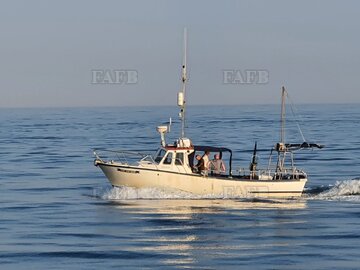Main picture for advert 115337