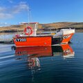 Extra picture for advert 116887