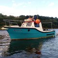 Extra picture for advert 103787