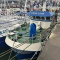 Extra picture for advert 130187