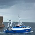 Extra picture for advert 110587